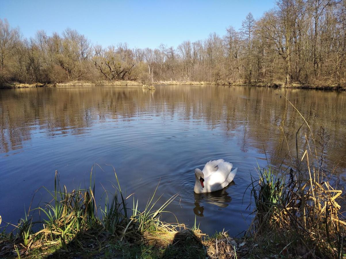 Ubytovani U Malinkovicu Breclav ภายนอก รูปภาพ
