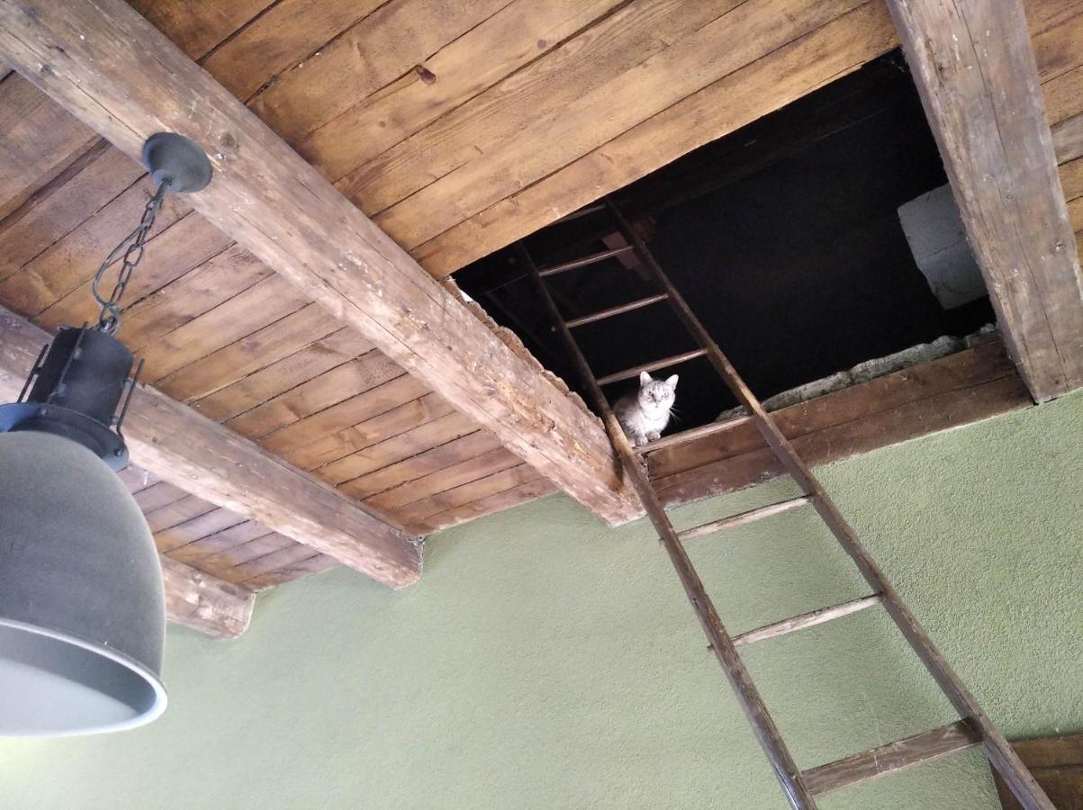 Ubytovani U Malinkovicu Breclav ภายนอก รูปภาพ